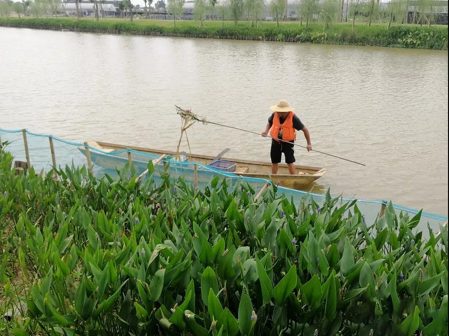 东莞铁腕治污守护碧水蓝天，全面提升群众生态环境获得感